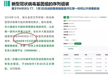 一文盘点华大智造新冠病毒检测方法